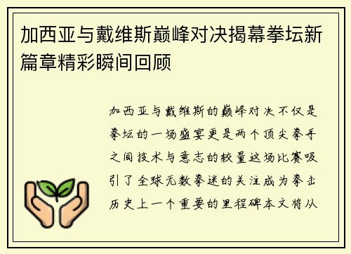 加西亚与戴维斯巅峰对决揭幕拳坛新篇章精彩瞬间回顾