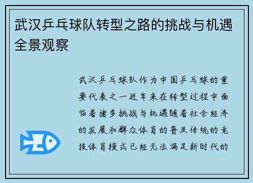 武汉乒乓球队转型之路的挑战与机遇全景观察